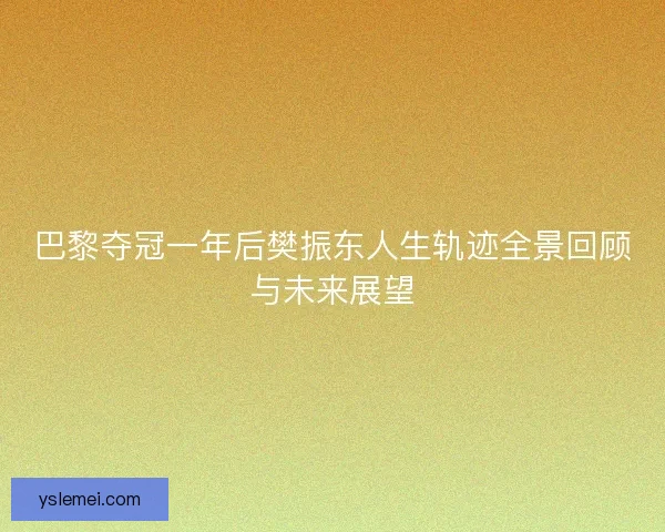 巴黎夺冠一年后樊振东人生轨迹全景回顾与未来展望